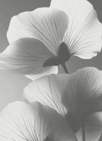 Sur-Medispa-Services-19